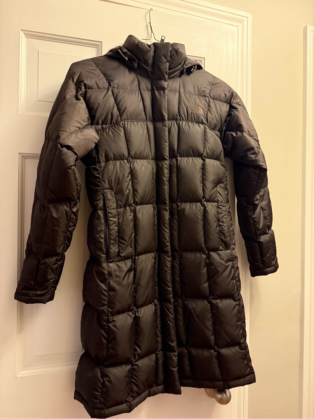 NorthFace Winter Coat